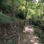 ANCIENT VINEYARD TRAIL including wine tasting - Image 4