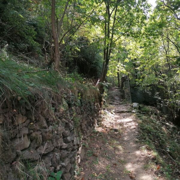 ANCIENT VINEYARD TRAIL including wine tasting - Image 4