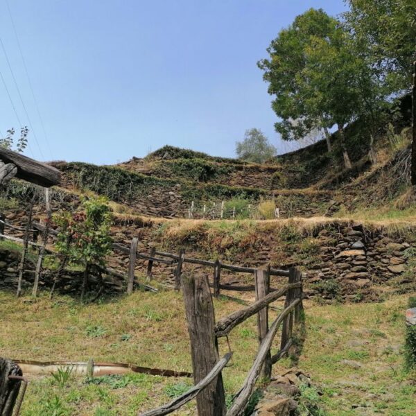 ANCIENT VINEYARD TRAIL including wine tasting - Image 9