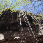 LE SORGENTI DEL COSIA con pranzo tipico alla Baita Patrizi - Albavilla - immagine 9
