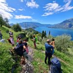 ESCURSIONE CON DEGUSTAZIONE OLIO DEL LAGO DI COMO - Perledo - immagine 11