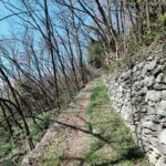 DOMASO - GERA LUNGO L'ANTICA REGINA - immagine 15